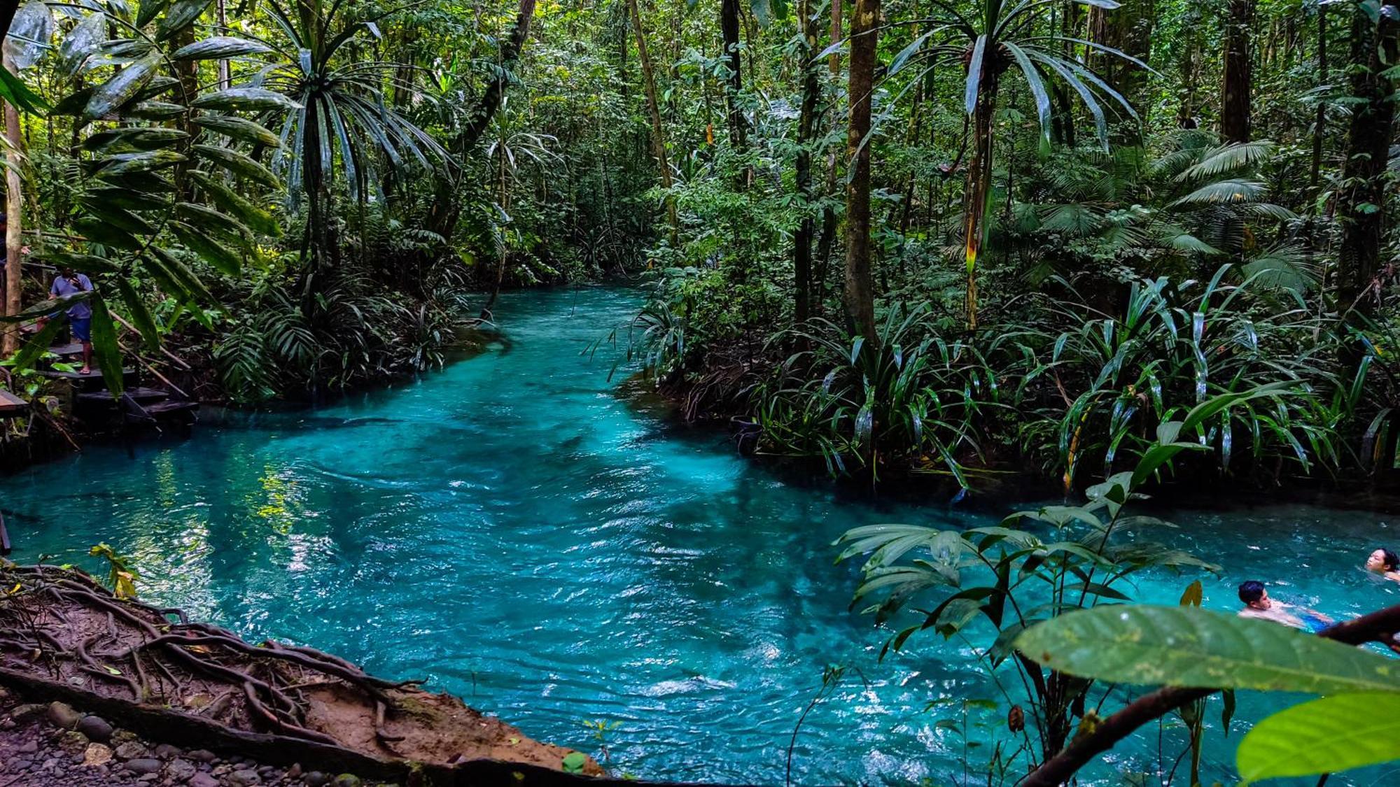 Lodge The Jeti Mangrove - Ecolodge, Cottage, Restaurant & Kali Biru, Blue River *